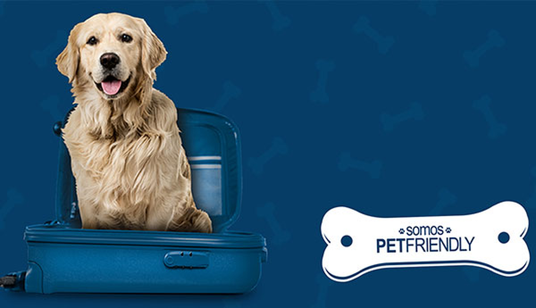 ¿quieres viajar con tu mascota? Hotel ILUNION Valencia 3